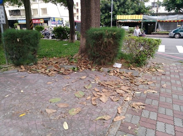 IMAG3011.jpg