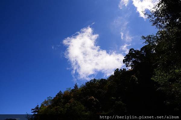 DSC_9588.JPG