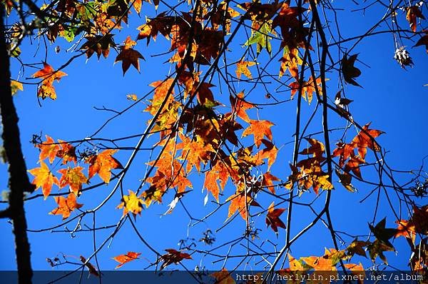 DSC_8151.JPG
