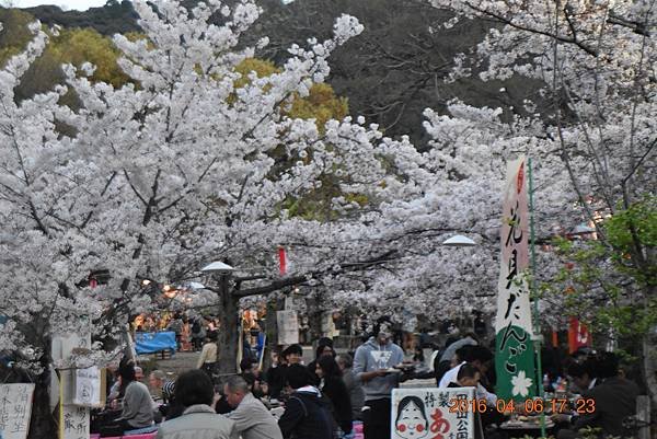 2016-04-06  京都清水寺夜櫻   197.JPG