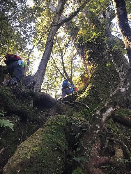 2021-11-19  新竹霞客羅山   017.JPG