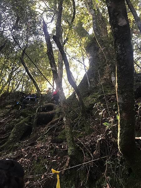 2021-11-19  新竹霞客羅山   016.JPG