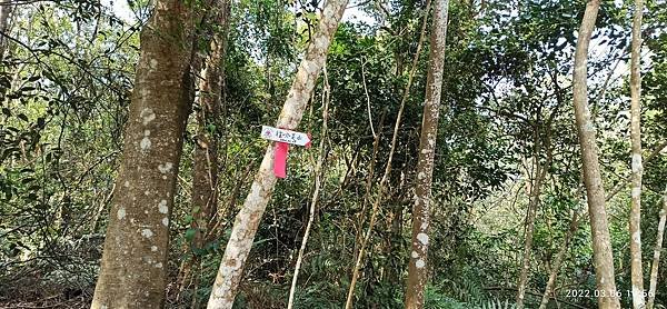 2022-03-06  苗栗火炎山北陵線探路   002.jpg