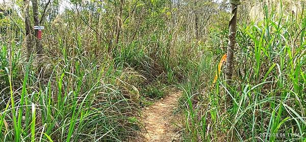 2022-03-06  苗栗火炎山北陵線探路   004.jpg
