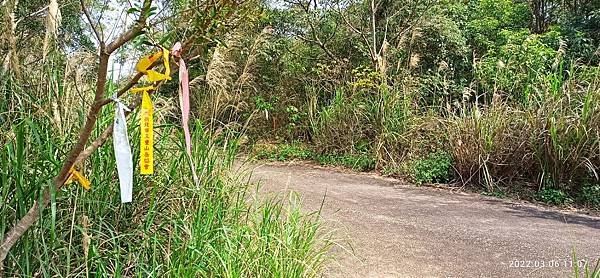 2022-03-06  苗栗火炎山北陵線探路   005.jpg
