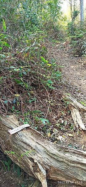 2022-03-06  苗栗火炎山北陵線探路   007.jpg