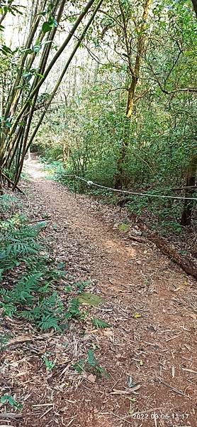 2022-03-06  苗栗火炎山北陵線探路   008.jpg
