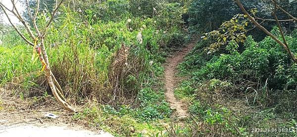 2022-03-06  苗栗火炎山北陵線探路   009.jpg
