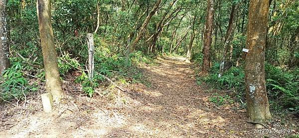 2022-03-06  苗栗火炎山北陵線探路   015.jpg