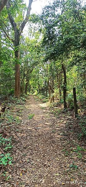 2022-03-06  苗栗火炎山北陵線探路   013.jpg