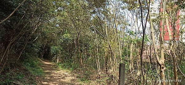 2022-03-06  苗栗火炎山北陵線探路   017.jpg