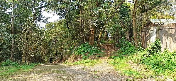 2022-03-06  苗栗火炎山北陵線探路   019.jpg