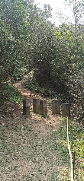 2022-03-06  苗栗火炎山北陵線探路   023.jpg