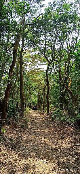 2022-03-06  苗栗火炎山北陵線探路   024.jpg