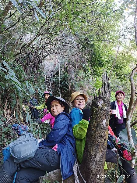 2022-11-14  苗栗大克山架梯   016.jpg