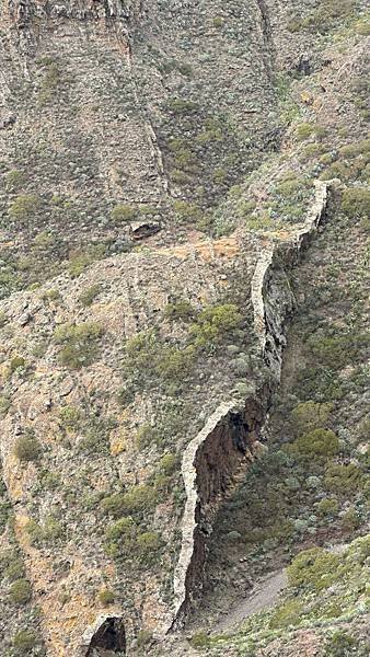 2023-10-31  特內里費島（Tenerife ）上渡