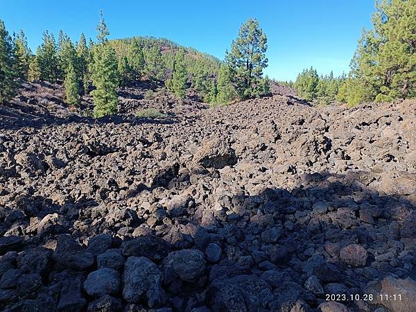 2023-10-31  特內里費島（Tenerife ）上渡