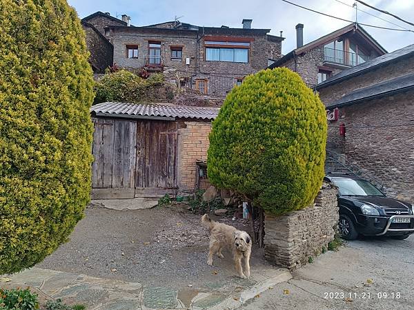 img_20231121_091821.jpeg