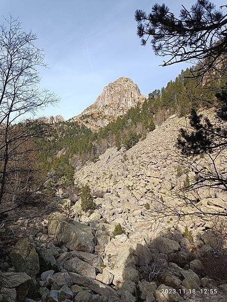 img_20231118_125510.jpeg