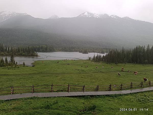 img_20240601_191410.jpeg