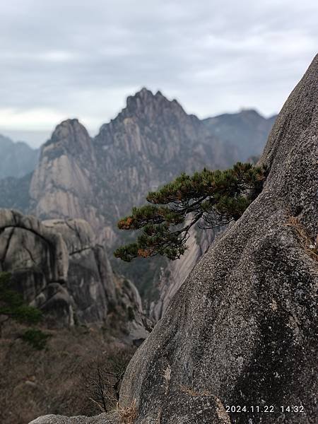 2024-11-22   黃山天都峰