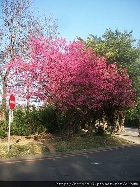 100_8372.JPG