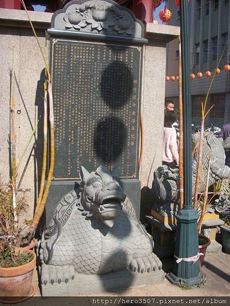 100_8528.JPG