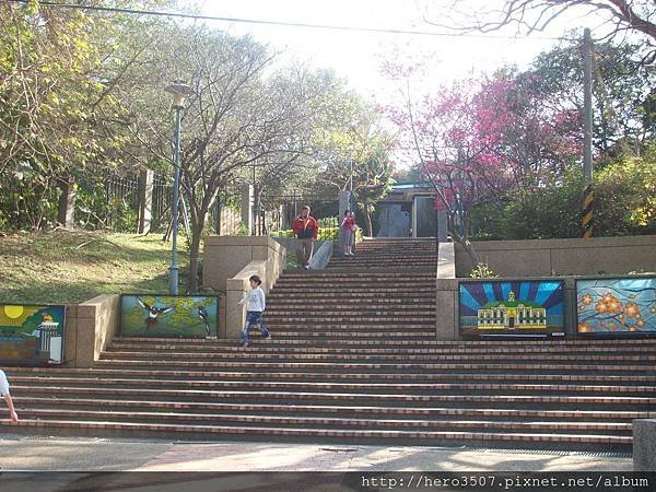 100_8682.JPG
