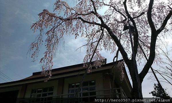 IMAG1060.jpg