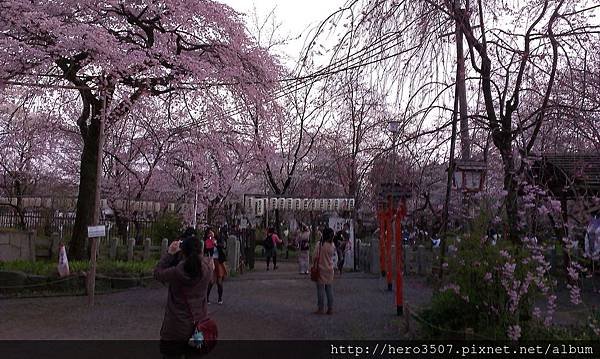 IMAG0928.jpg