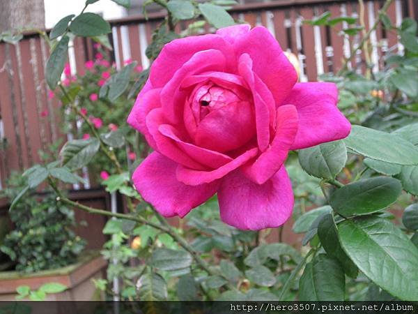 IMG_5415.JPG
