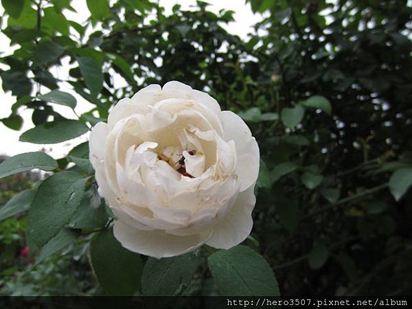 IMG_5417.JPG