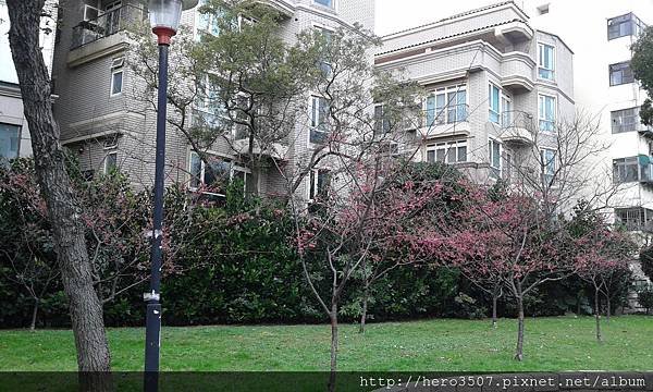 20150210_092507.jpg