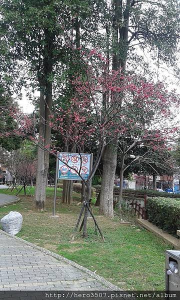 20150210_092609.jpg