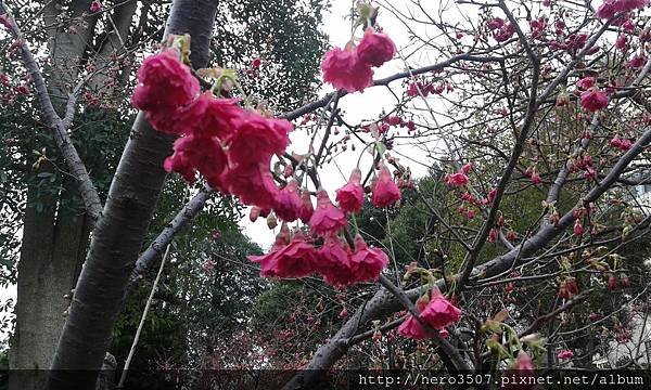 20150210_092726.jpg