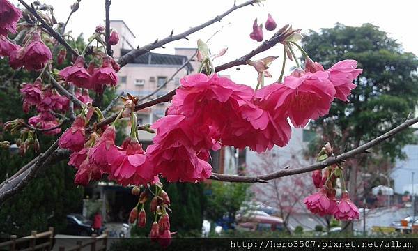 20150210_093137.jpg