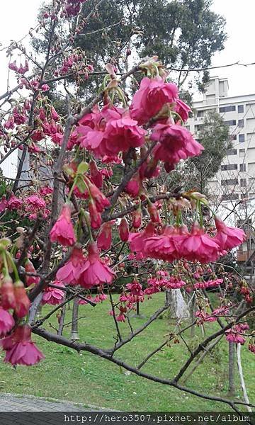 20150210_093211.jpg