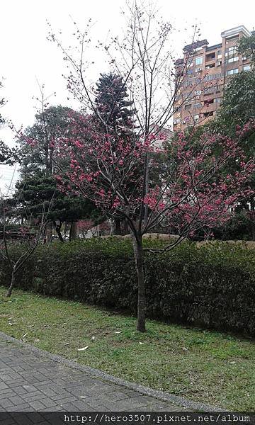 20150210_093300.jpg