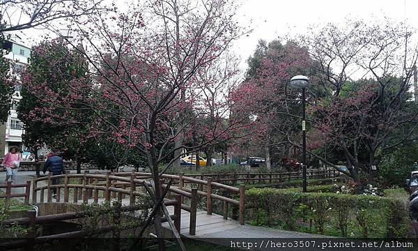 20150210_093842.jpg