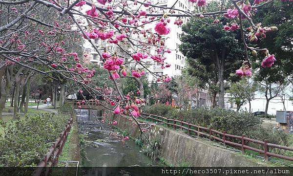 20150210_093918.jpg
