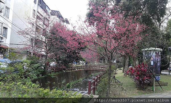20150210_094125.jpg