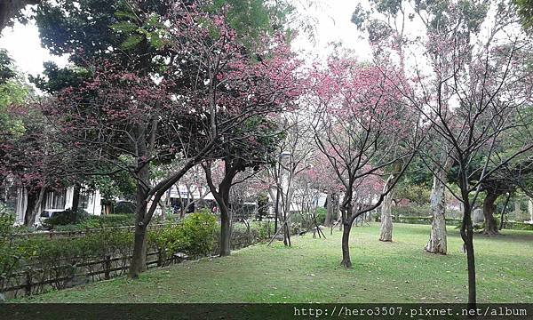 20150210_094411.jpg