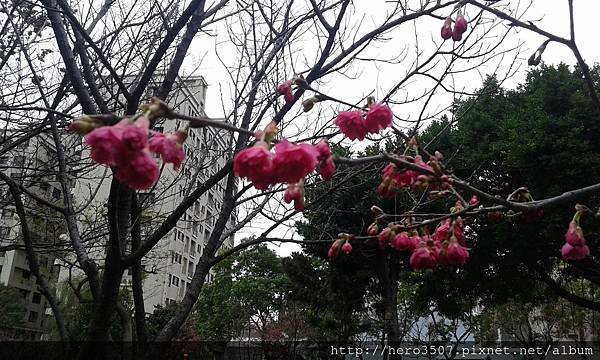 20150210_094811.jpg
