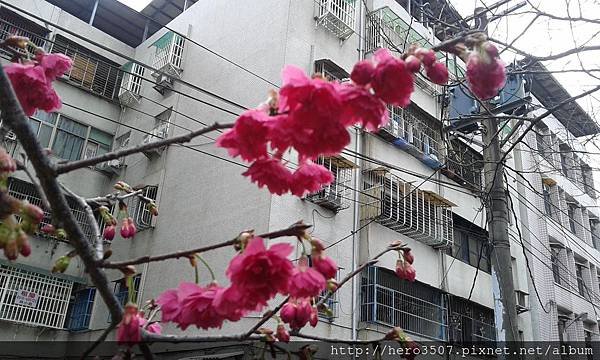 20150210_094819.jpg