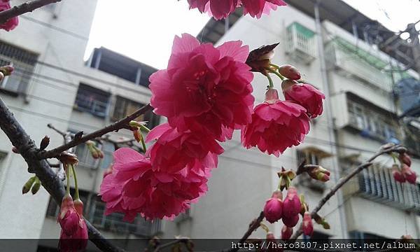 20150210_094836.jpg