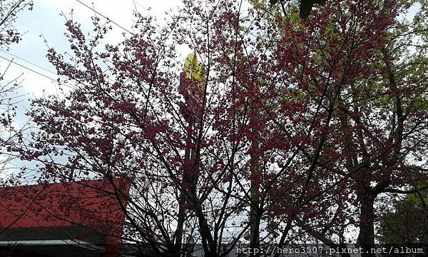 20150210_100113.jpg