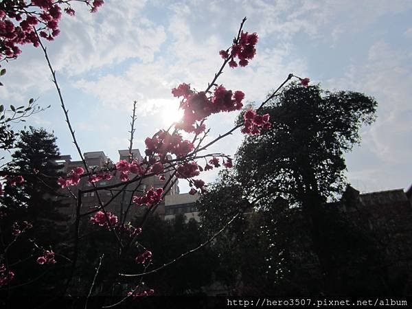 IMG_8285.JPG