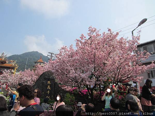 IMG_9306.JPG