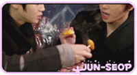 5.gif