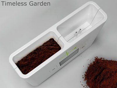 timeless_garden_1.jpg